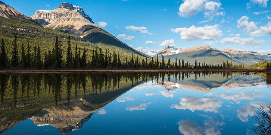 Banff National Park Waterfowl Lake